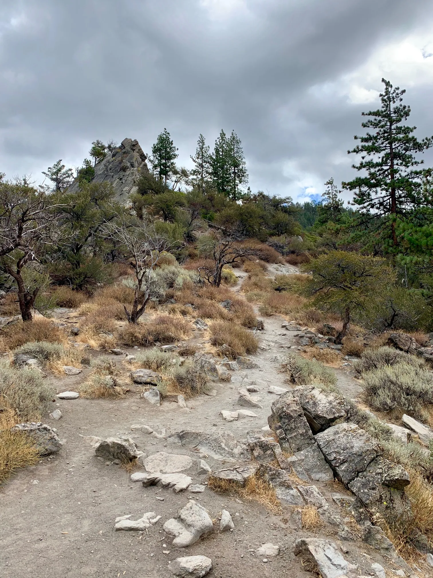 View from the Cave Rock hike overlooking Lake Tahoe