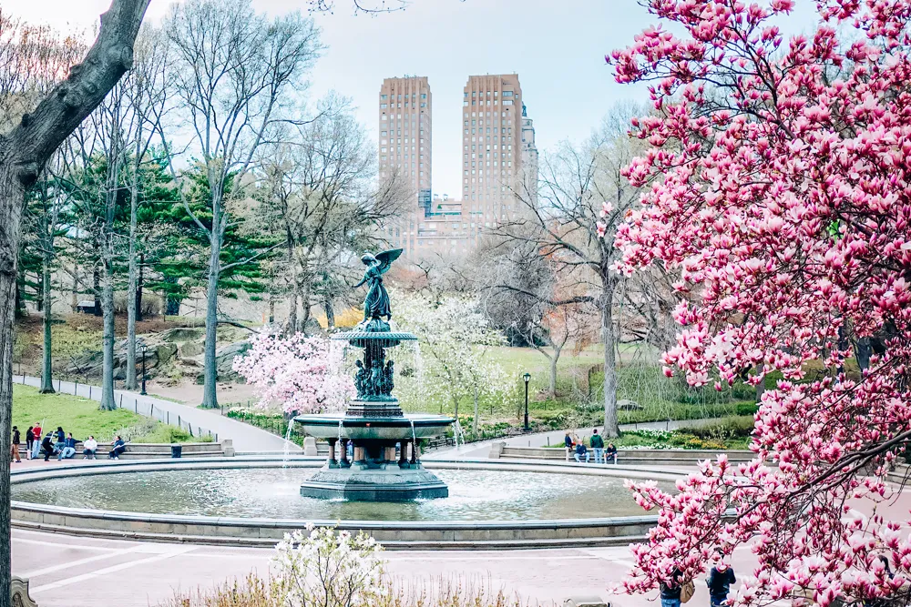 View of a fountain at Bethesda Terrace