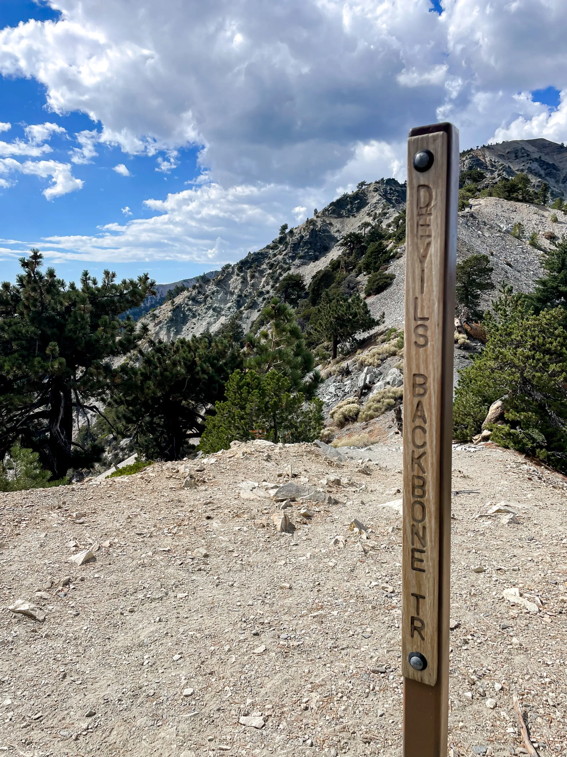 View of a mountain trail, part of a challenging hiking day trip getaway at Mt Baldy, California