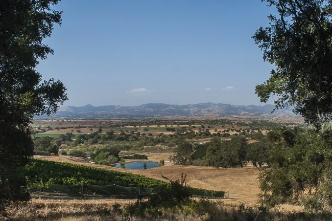 Vineyard view in the Santa Ynez Valley near Santa Barbara, a scenic day trip destination