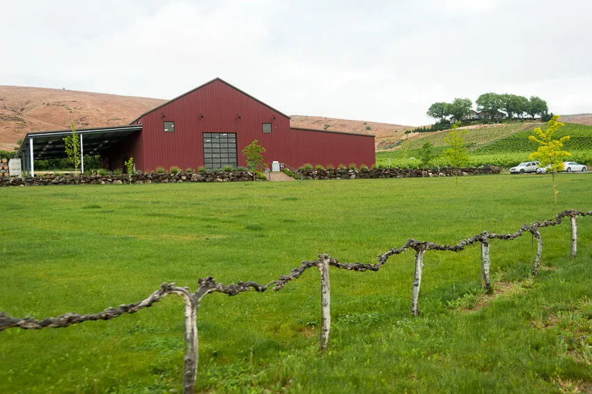 visiting yakima vineyard