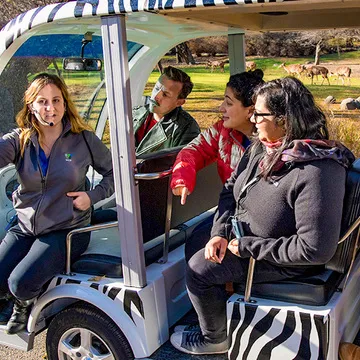 Visitors engaging with a striped cart at the Bronx Zoo, illustrating the interactive roles found in visitor activities and programs, part of the diverse Bronx night jobs landscape.
