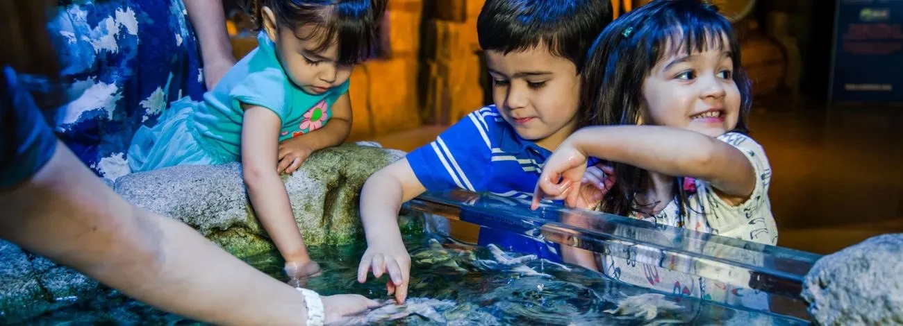 Visitors viewing colorful fish in a large tank at the Sea Life Michigan Aquarium