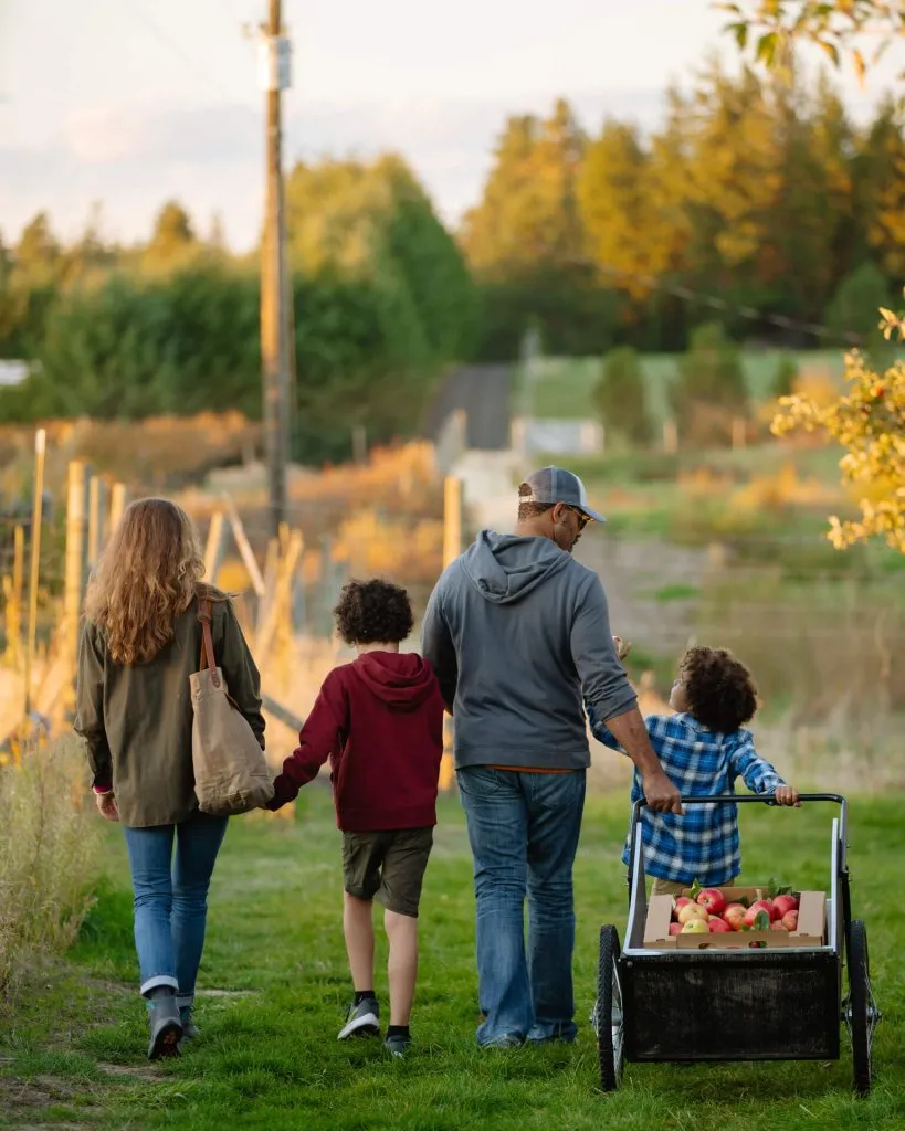 Washington is the leading producer of apples in the country.