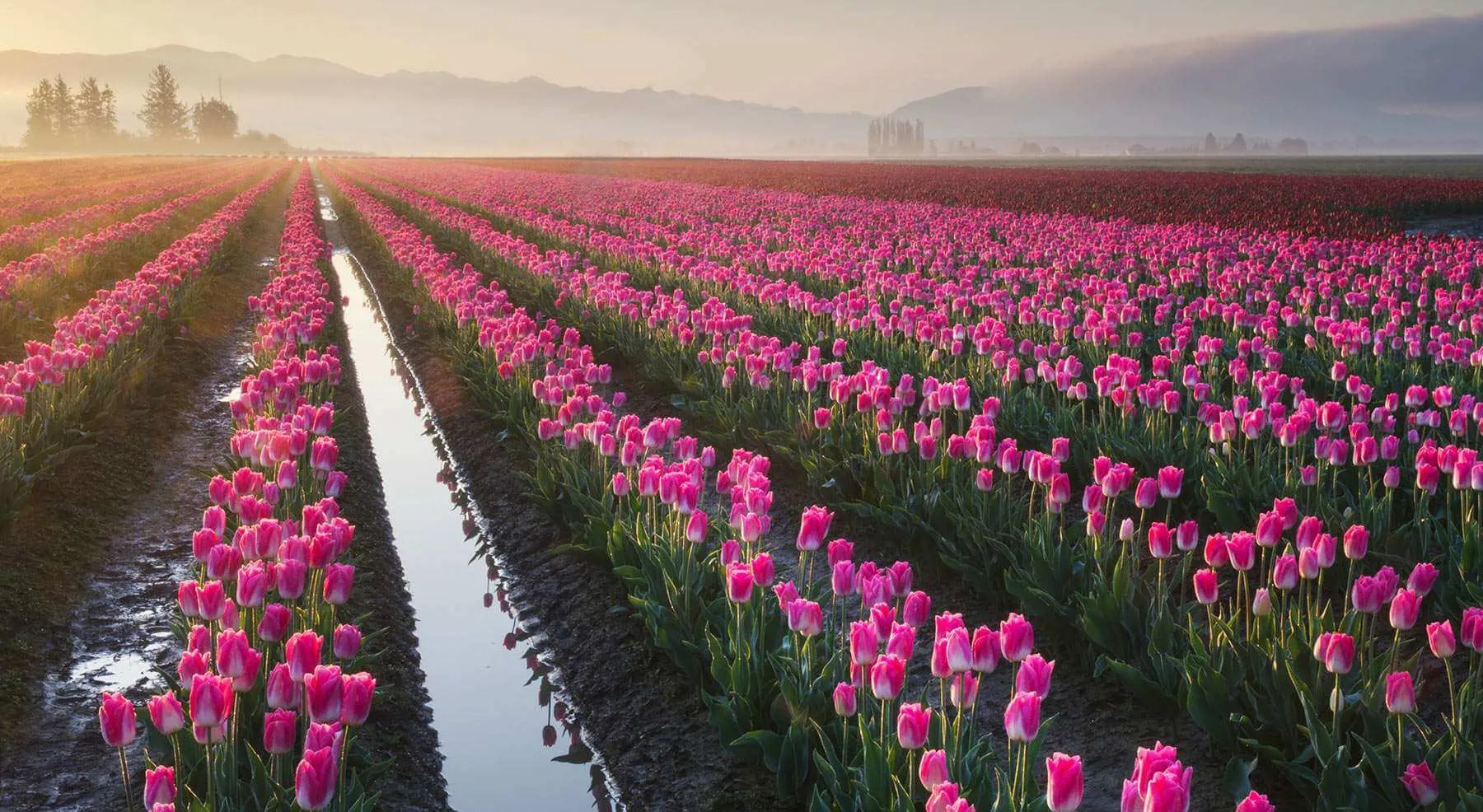 Washington State Visitors Guide