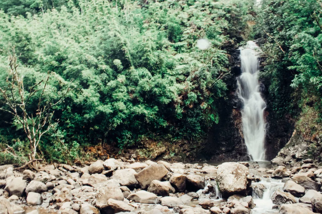 Waterfall Road to Hana