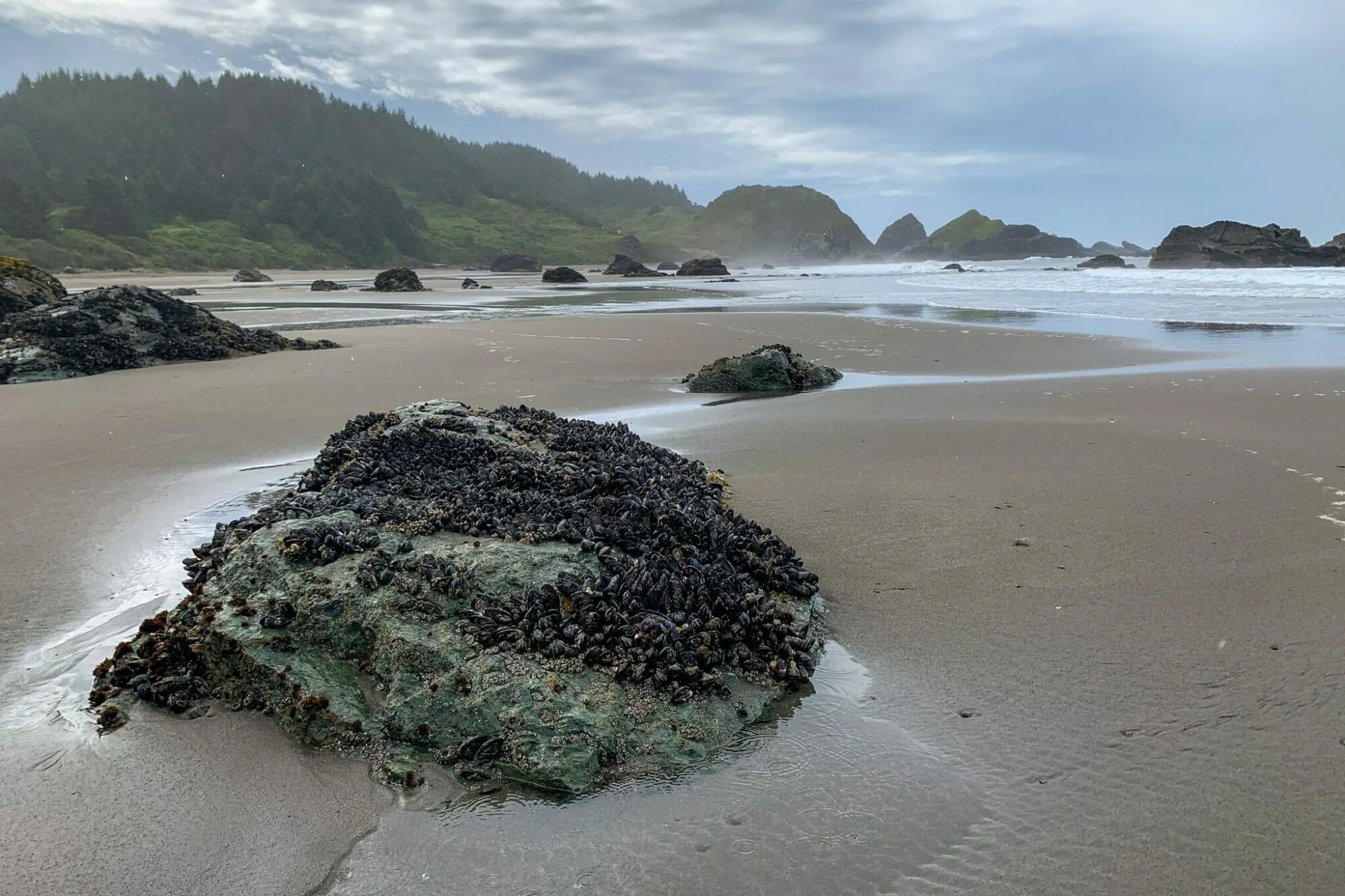 Waves crashing on the shore at Whaleshead Beach