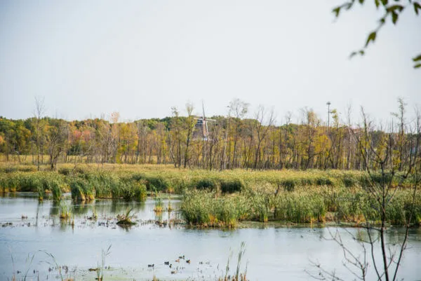 Your Guide to Culinary Arts Schools in Michigan 2025 Windmill from Riverview Park in Holland, Michigan