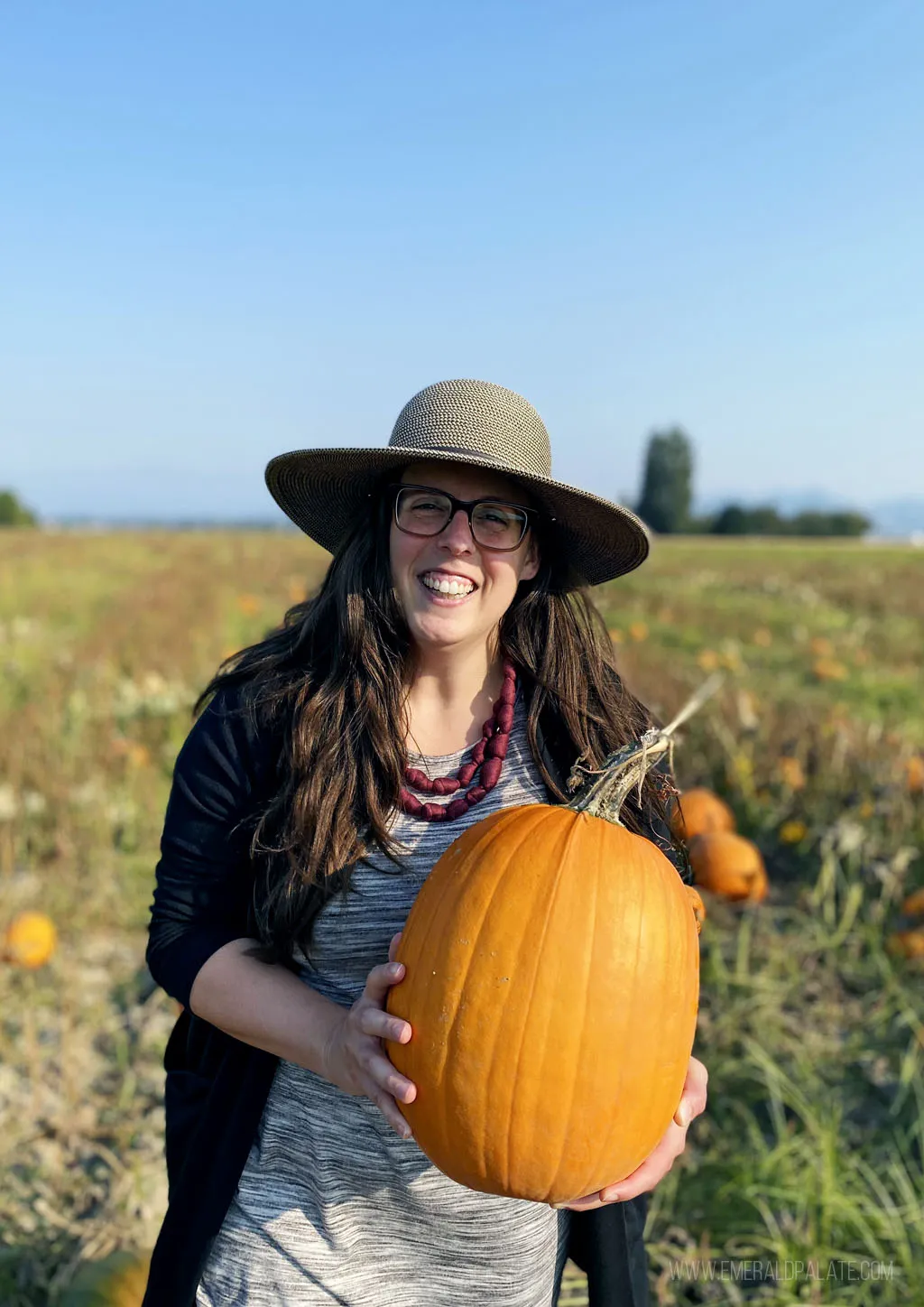 Woman picking a large orange pumpkin from a field