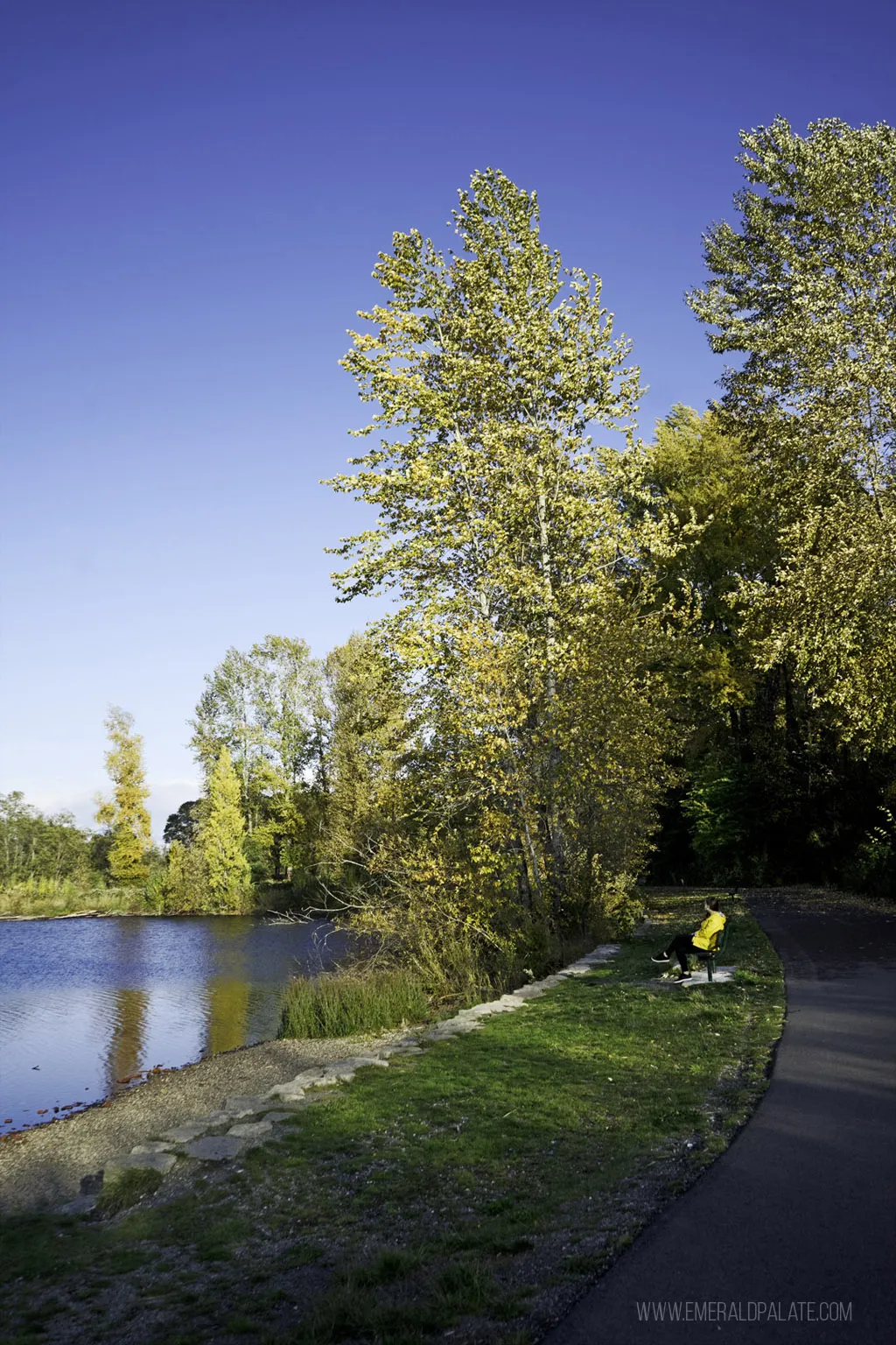 Woman sitting on a park bench overlooking a lake