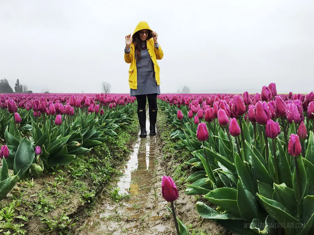 Woman standing among rows of colorful tulips during the Skagit Tulip Festival