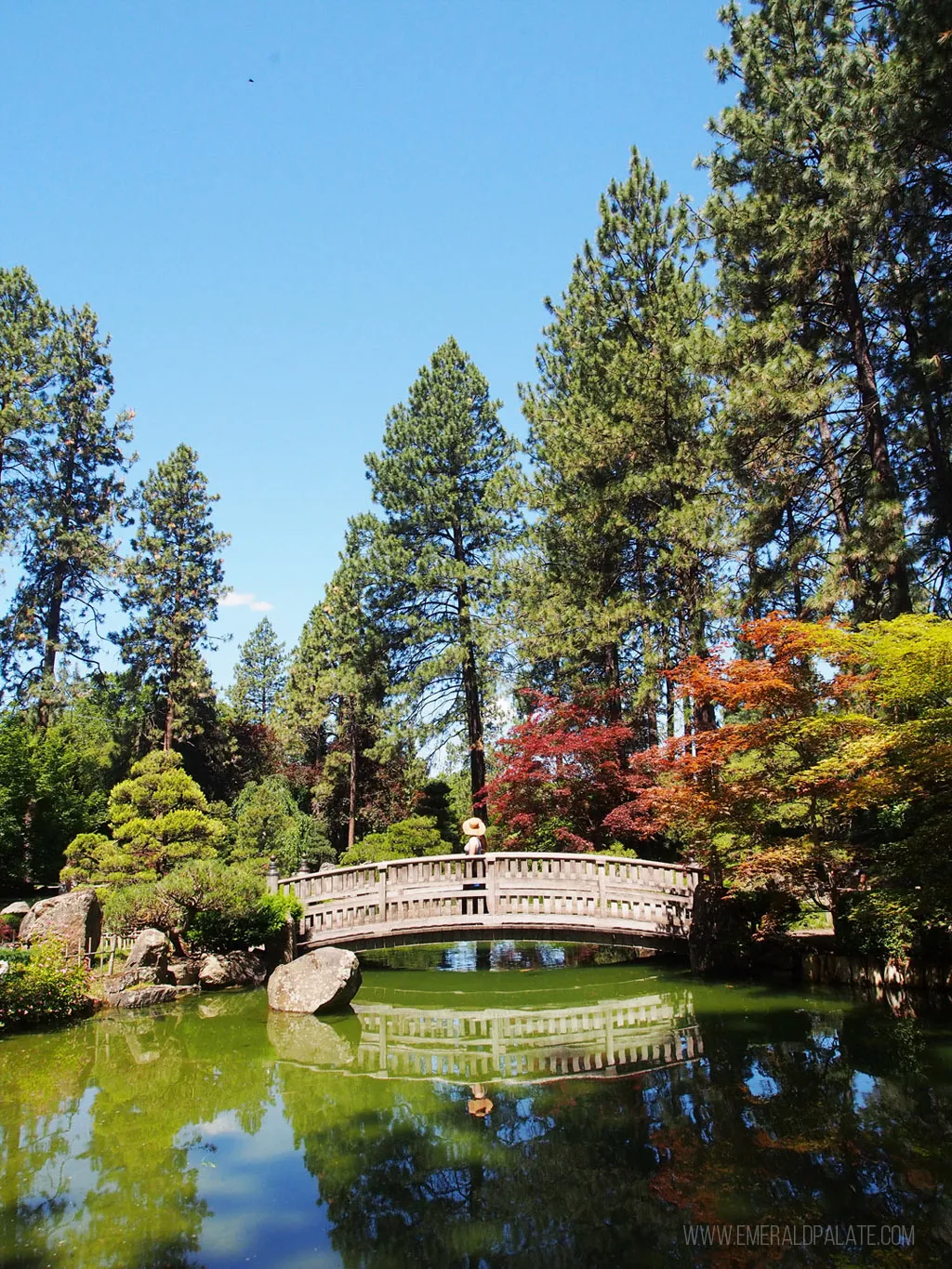 Woman walking over a pedestrian bridge in Manito Park, Spokane, WA