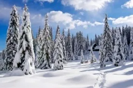 wyosnow