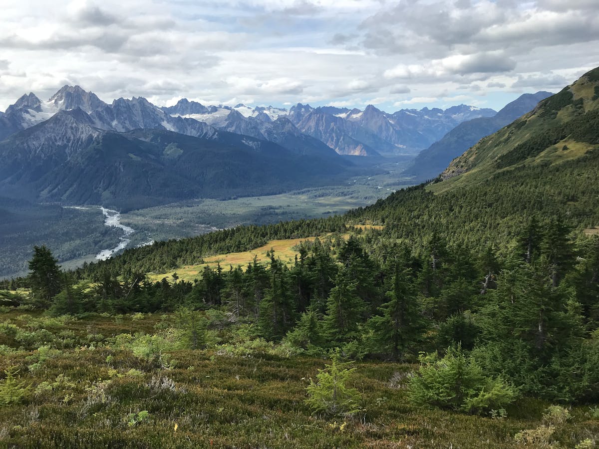 Discover the Magic - Essential Alaska Winter Activities